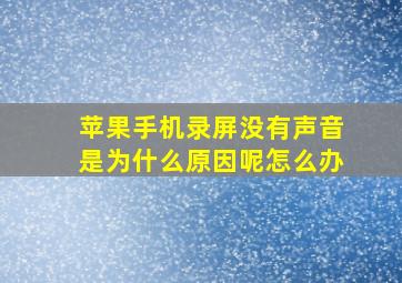 苹果手机录屏没有声音是为什么原因呢怎么办