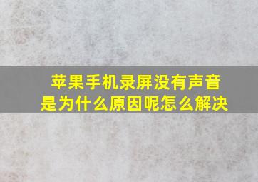 苹果手机录屏没有声音是为什么原因呢怎么解决