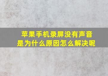 苹果手机录屏没有声音是为什么原因怎么解决呢