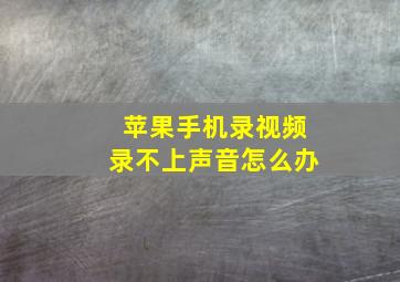 苹果手机录视频录不上声音怎么办