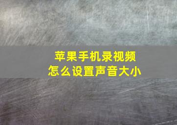 苹果手机录视频怎么设置声音大小