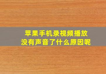 苹果手机录视频播放没有声音了什么原因呢