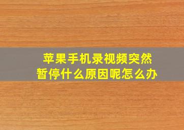 苹果手机录视频突然暂停什么原因呢怎么办