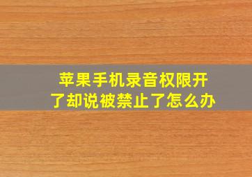 苹果手机录音权限开了却说被禁止了怎么办