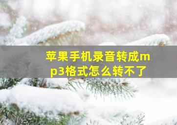 苹果手机录音转成mp3格式怎么转不了