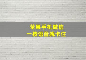 苹果手机微信一按语音就卡住