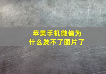 苹果手机微信为什么发不了图片了