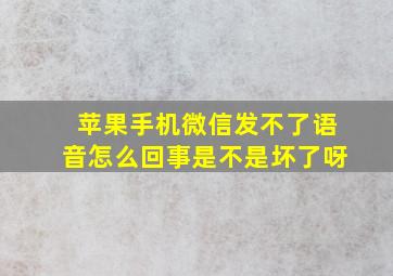 苹果手机微信发不了语音怎么回事是不是坏了呀