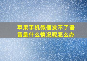 苹果手机微信发不了语音是什么情况呢怎么办