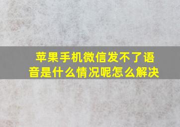 苹果手机微信发不了语音是什么情况呢怎么解决