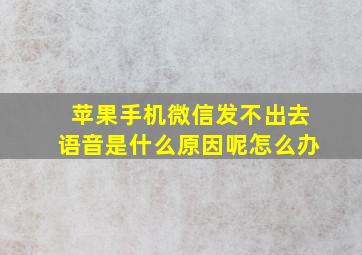 苹果手机微信发不出去语音是什么原因呢怎么办