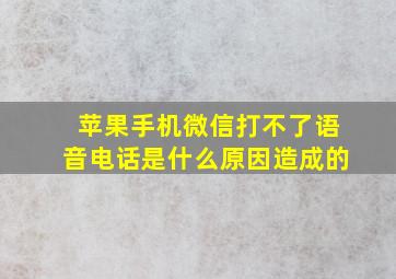 苹果手机微信打不了语音电话是什么原因造成的