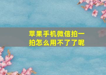 苹果手机微信拍一拍怎么用不了了呢