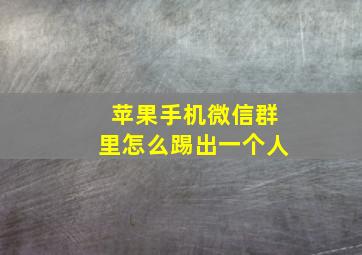 苹果手机微信群里怎么踢出一个人