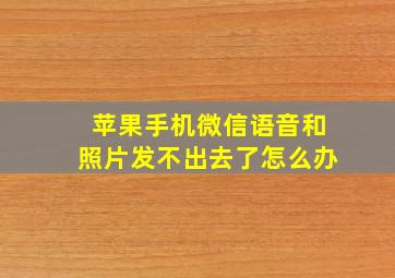 苹果手机微信语音和照片发不出去了怎么办