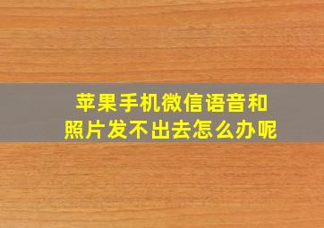 苹果手机微信语音和照片发不出去怎么办呢