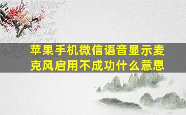 苹果手机微信语音显示麦克风启用不成功什么意思