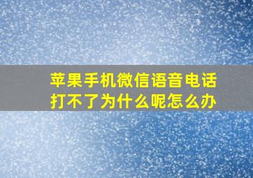 苹果手机微信语音电话打不了为什么呢怎么办