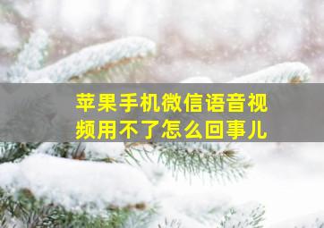 苹果手机微信语音视频用不了怎么回事儿