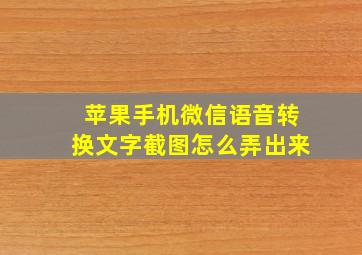 苹果手机微信语音转换文字截图怎么弄出来