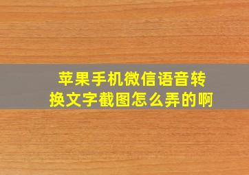 苹果手机微信语音转换文字截图怎么弄的啊