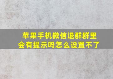 苹果手机微信退群群里会有提示吗怎么设置不了