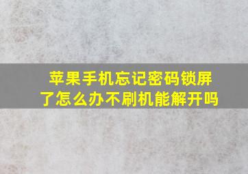 苹果手机忘记密码锁屏了怎么办不刷机能解开吗