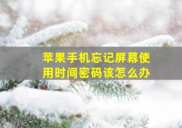 苹果手机忘记屏幕使用时间密码该怎么办