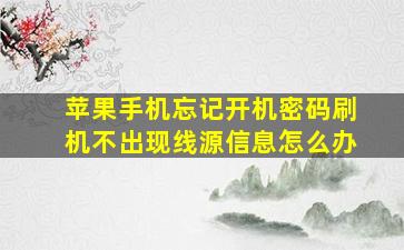 苹果手机忘记开机密码刷机不出现线源信息怎么办