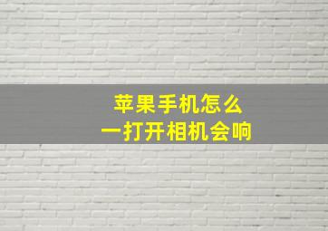 苹果手机怎么一打开相机会响