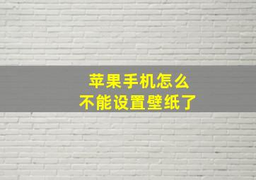 苹果手机怎么不能设置壁纸了