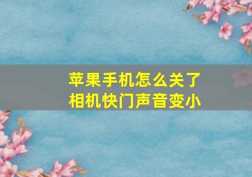 苹果手机怎么关了相机快门声音变小