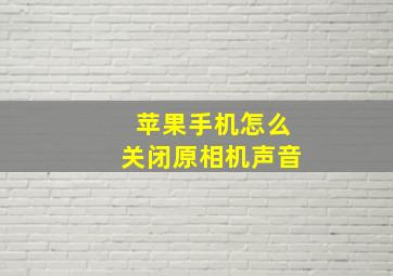 苹果手机怎么关闭原相机声音