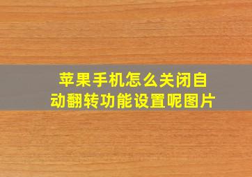 苹果手机怎么关闭自动翻转功能设置呢图片