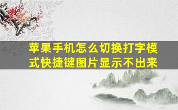 苹果手机怎么切换打字模式快捷键图片显示不出来