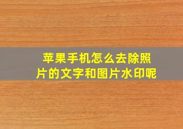 苹果手机怎么去除照片的文字和图片水印呢