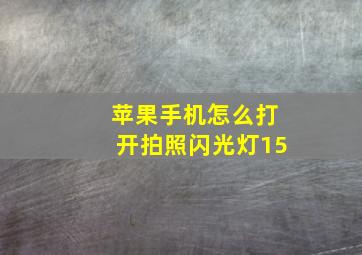 苹果手机怎么打开拍照闪光灯15