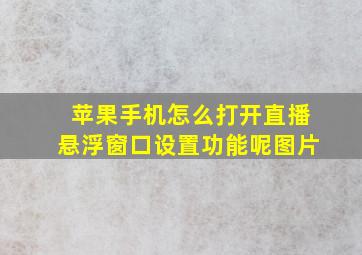 苹果手机怎么打开直播悬浮窗口设置功能呢图片