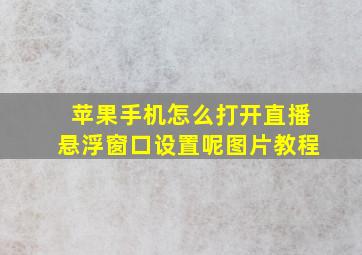 苹果手机怎么打开直播悬浮窗口设置呢图片教程