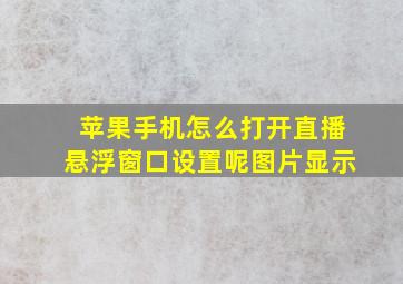 苹果手机怎么打开直播悬浮窗口设置呢图片显示