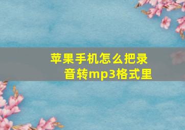 苹果手机怎么把录音转mp3格式里