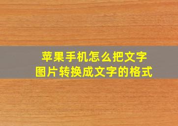 苹果手机怎么把文字图片转换成文字的格式