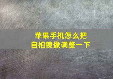 苹果手机怎么把自拍镜像调整一下