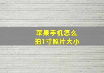 苹果手机怎么拍1寸照片大小