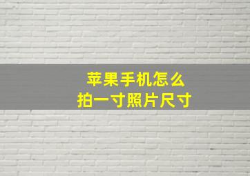 苹果手机怎么拍一寸照片尺寸