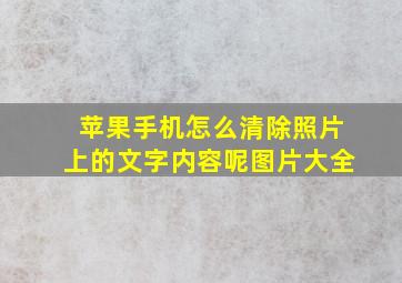 苹果手机怎么清除照片上的文字内容呢图片大全