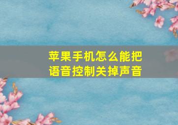 苹果手机怎么能把语音控制关掉声音