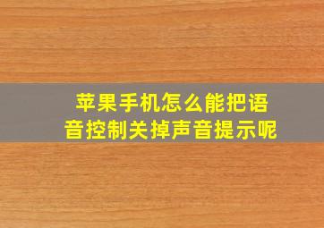 苹果手机怎么能把语音控制关掉声音提示呢