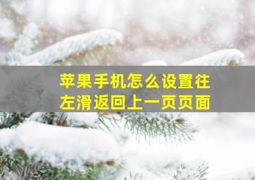 苹果手机怎么设置往左滑返回上一页页面