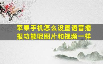 苹果手机怎么设置语音播报功能呢图片和视频一样